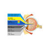 EN207 Approval Dual wavelength 532nm and 1064nm Laser Safety Glasses